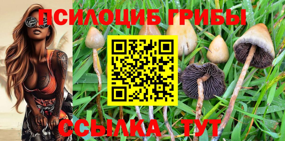 Коломна  Псилоцибиновые грибы Psilocybe  Вход с VPN 
